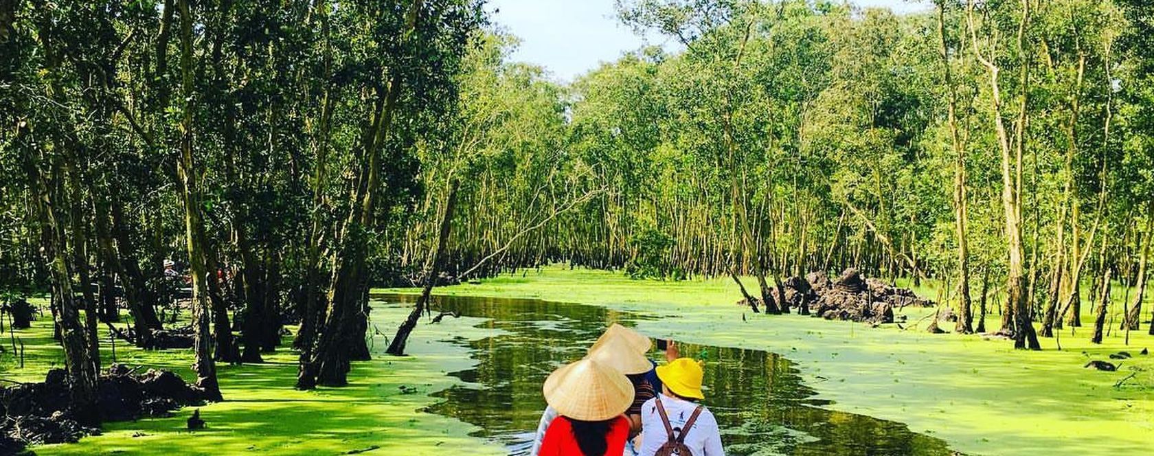 Rừng tràm Trà Sư